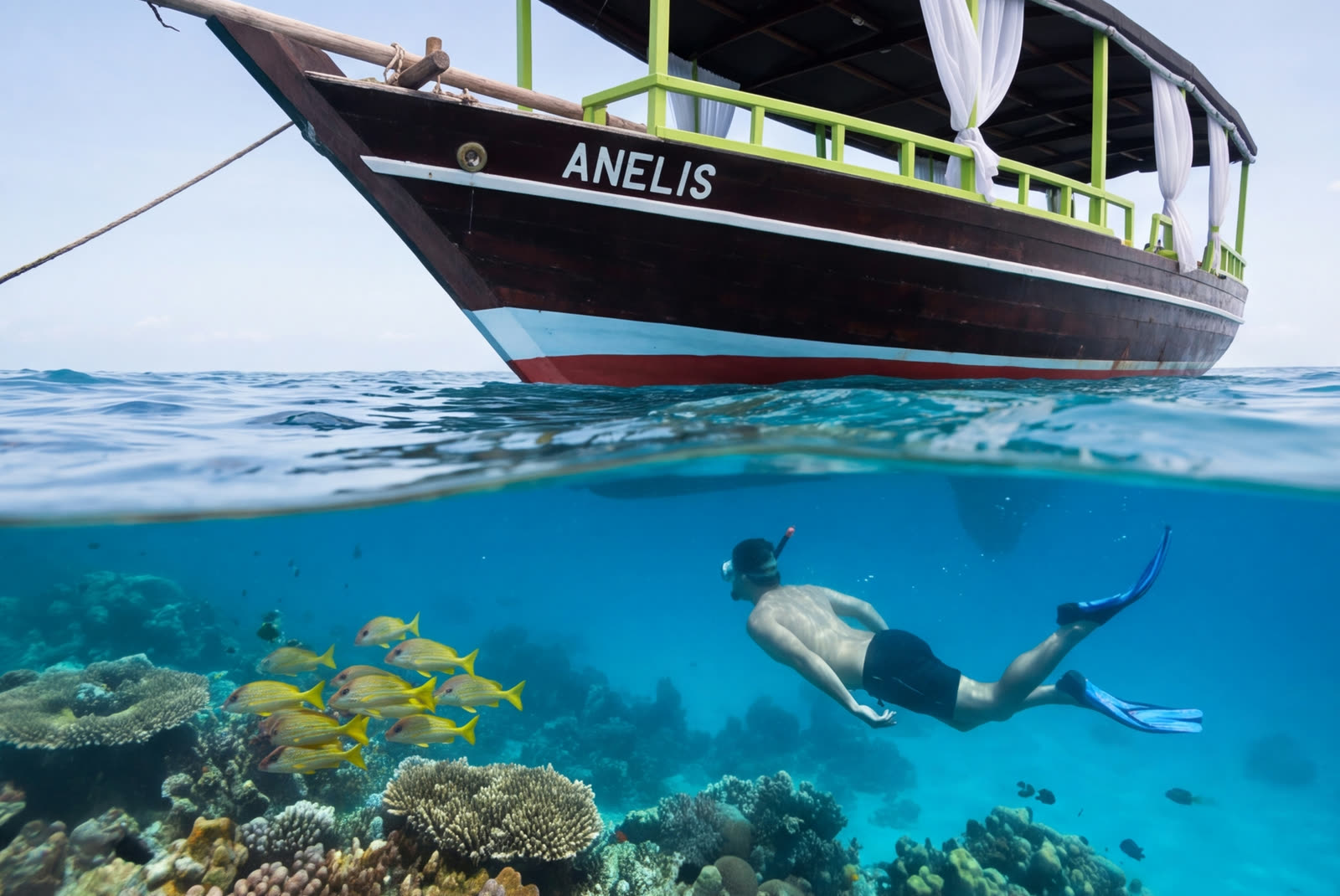 Mnemba snorkeling and dolphins on a private boat from Nungwi